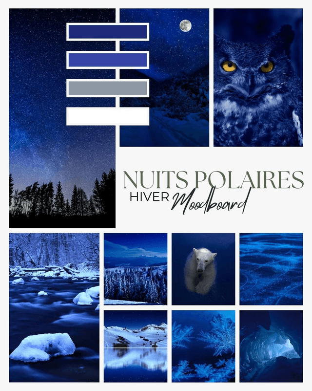 NUITS POLAIRES