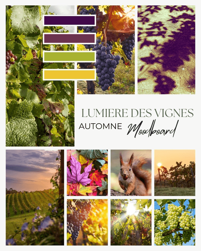 LUMIERE DES VIGNES