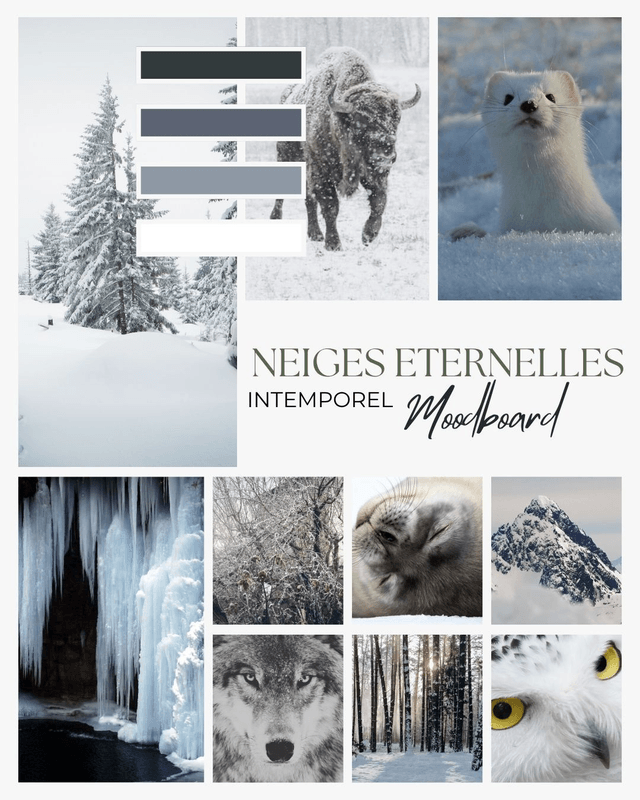 NEIGES ETERNELLES