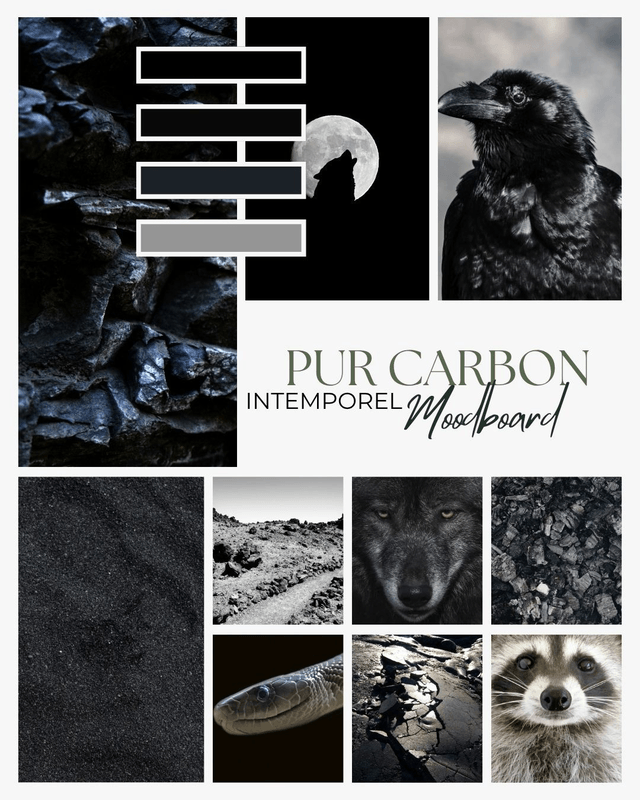 PURE CARBON